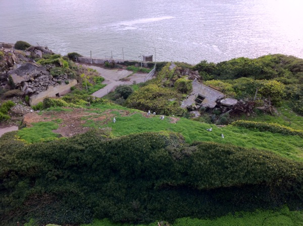 Some of the island's gardens