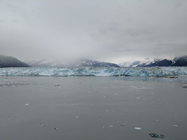 IMG_20180714_112559.jpg IMG 20180714 112559