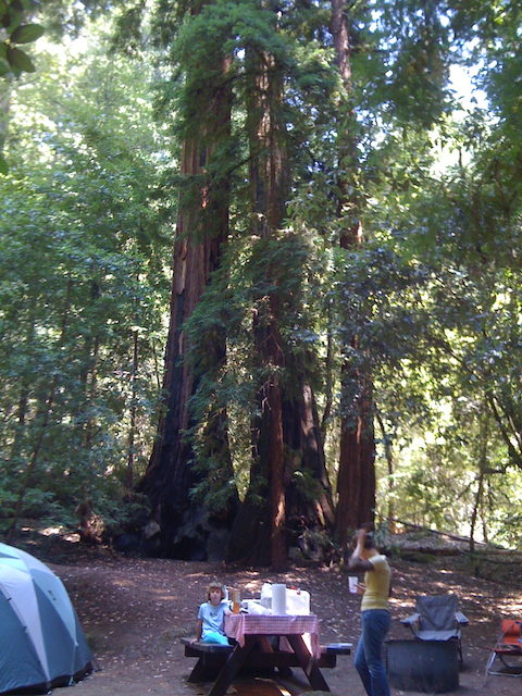 Big Basin camping
